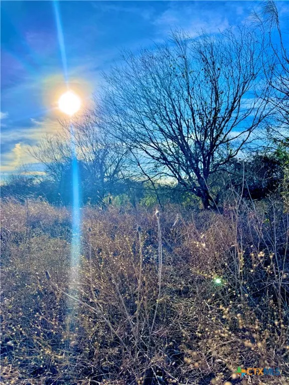 Scull Rd Martindale, TX 78655