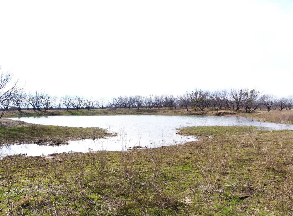 6500 Fm 586 Bangs, TX 76823