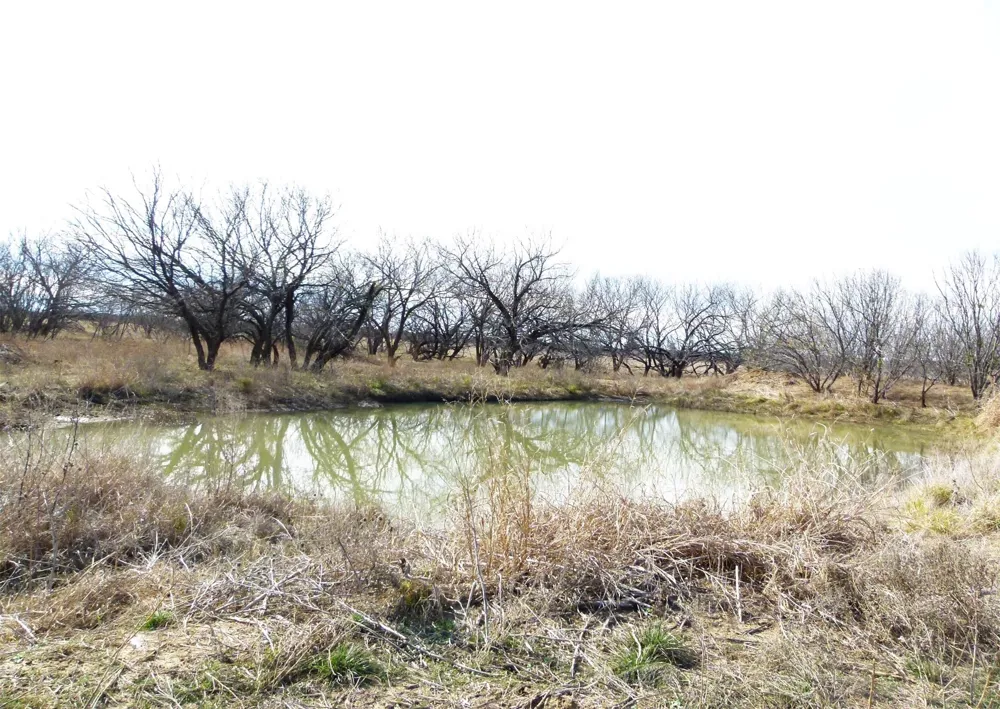 6500 Fm 586 Bangs, TX 76823
