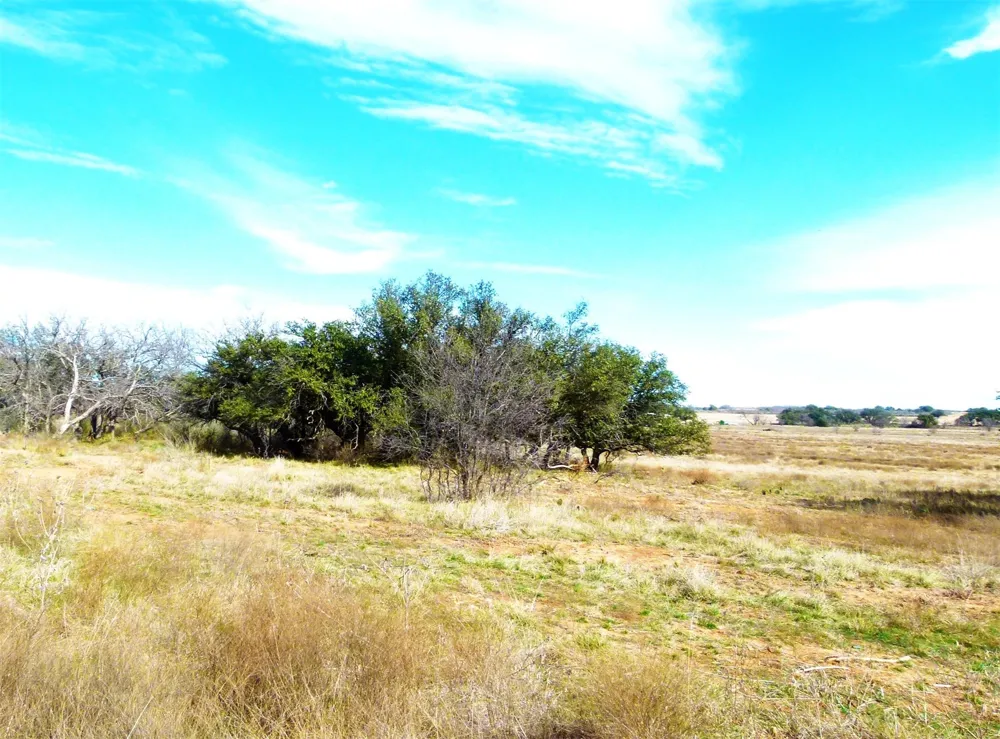 6500 Fm 586 Bangs, TX 76823