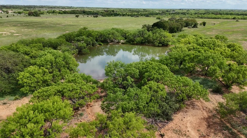 6500 Fm 586 Bangs, TX 76823