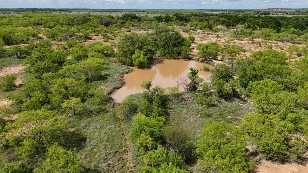 6500 Fm 586 Bangs, TX 76823