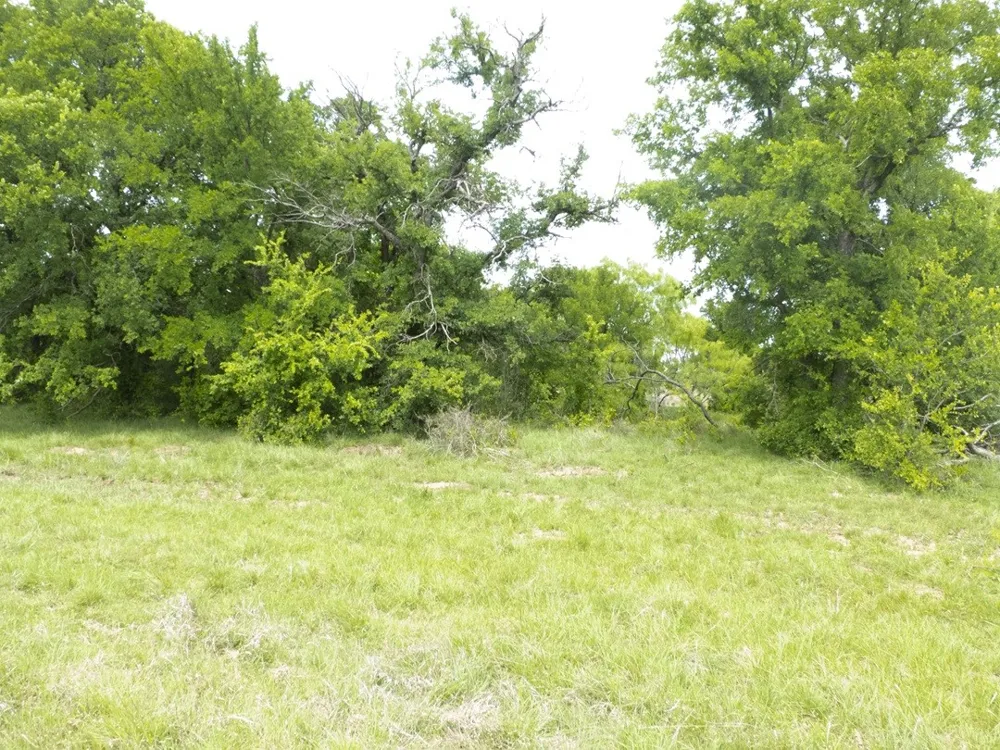 6500 Fm 586 Bangs, TX 76823