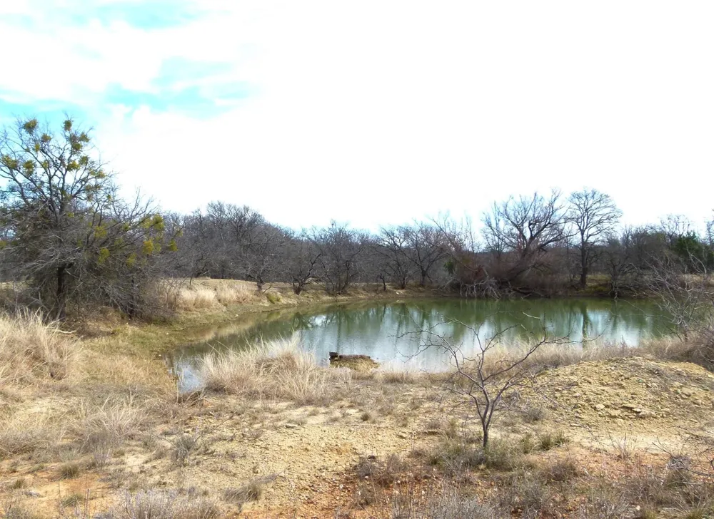 6500 FM 586 Bangs, TX 76823