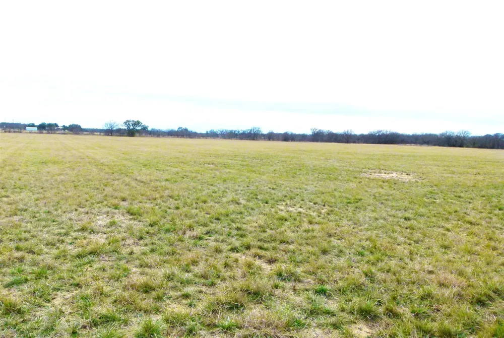 6500 FM 586 Bangs, TX 76823