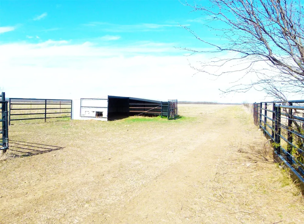 6500 FM 586 Bangs, TX 76823