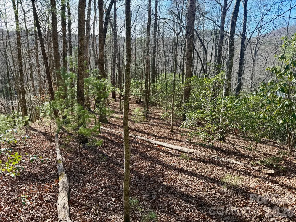Lot 48 Fox Den Road Brevard, NC 28712