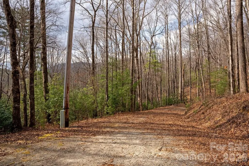 Lot 48 Fox Den Road Brevard, NC 28712