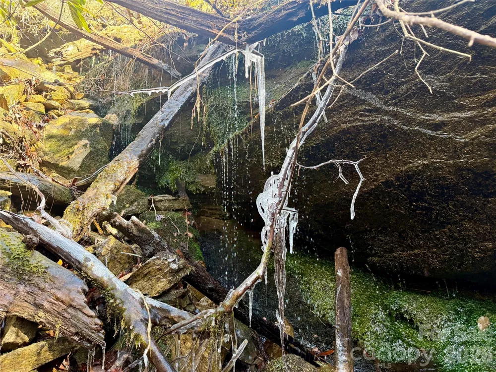 Lot 48 Fox Den Road Brevard, NC 28712