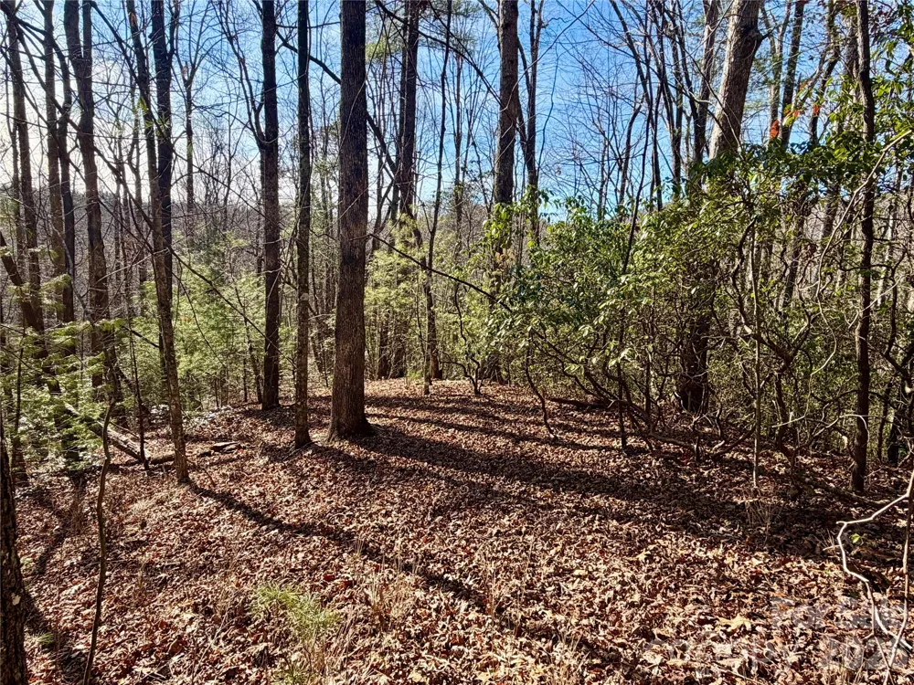 Lot 48 Fox Den Road Brevard, NC 28712