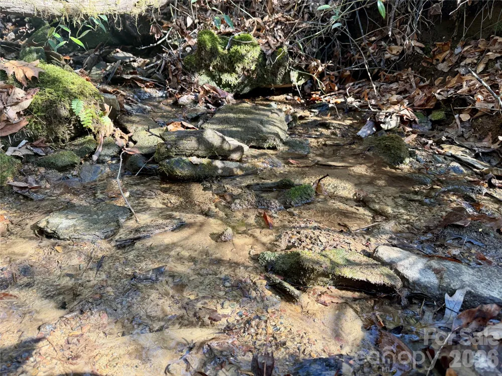 Lot 48 Fox Den Road Brevard, NC 28712