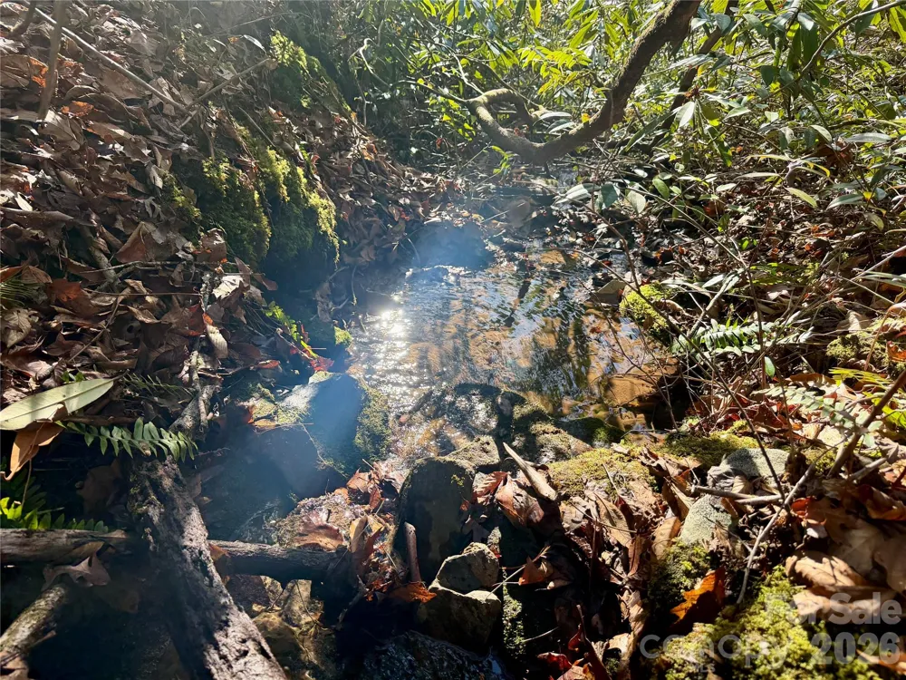 Lot 48 Fox Den Road Brevard, NC 28712