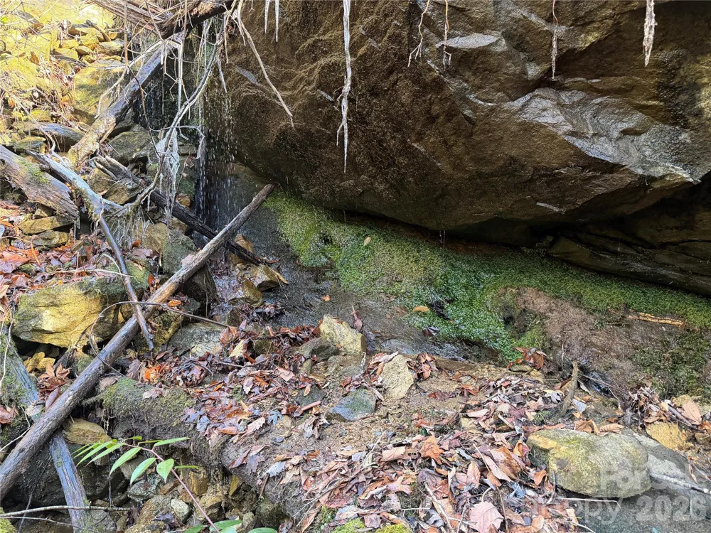 Lot 48 Fox Den Road Brevard, NC 28712
