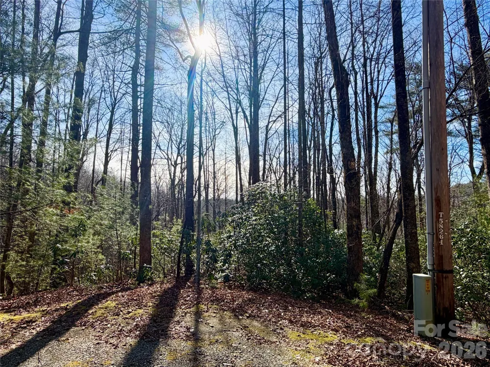 Lot 48 Fox Den Road Brevard, NC 28712