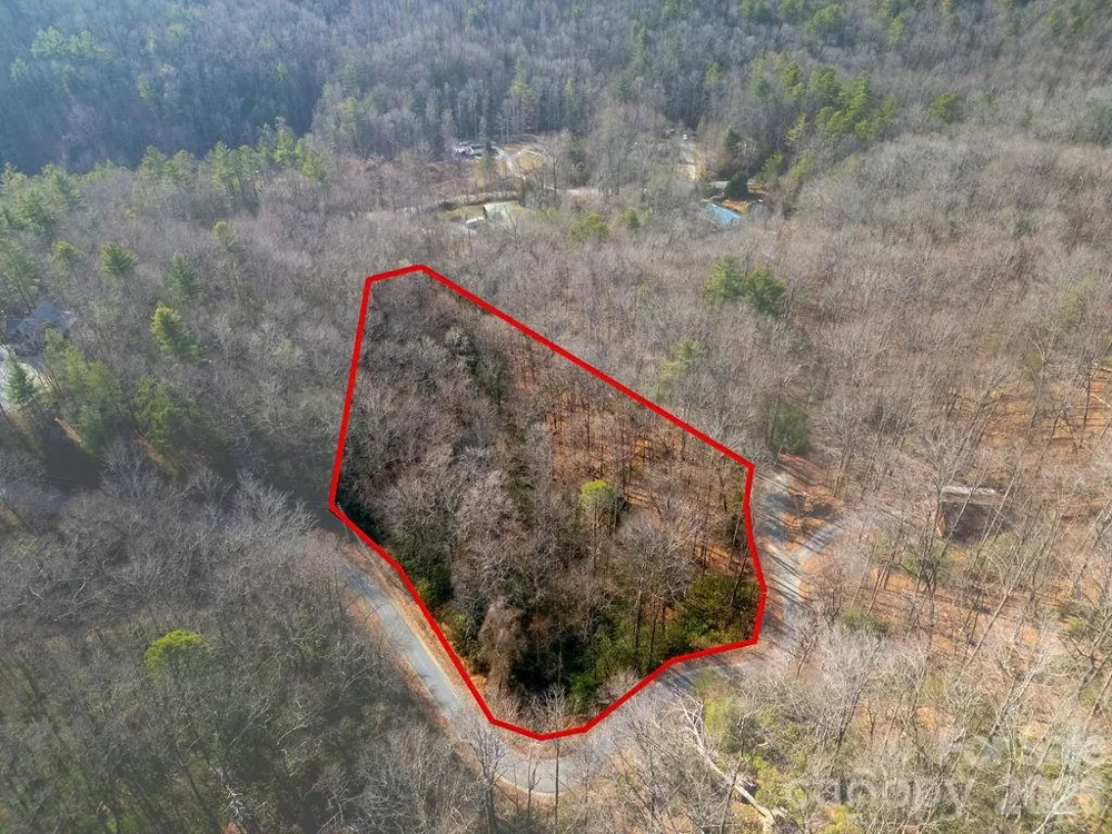 Lot 48 Fox Den Road Brevard, NC 28712