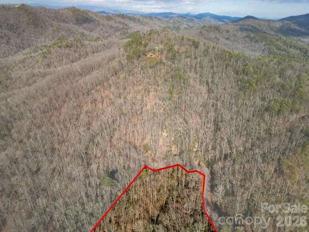 Lot 48 Fox Den Road Brevard, NC 28712