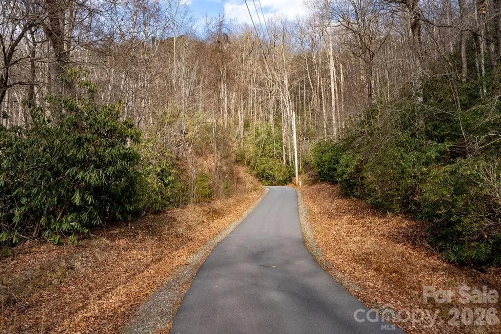 Lot 48 Fox Den Road Brevard, NC 28712
