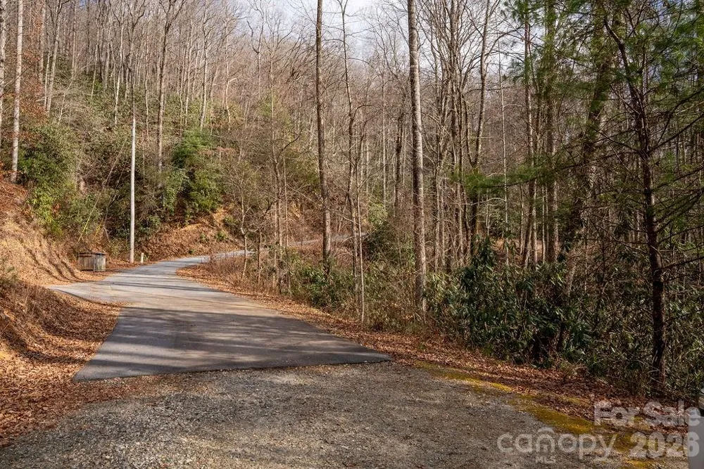 Lot 48 Fox Den Road Brevard, NC 28712