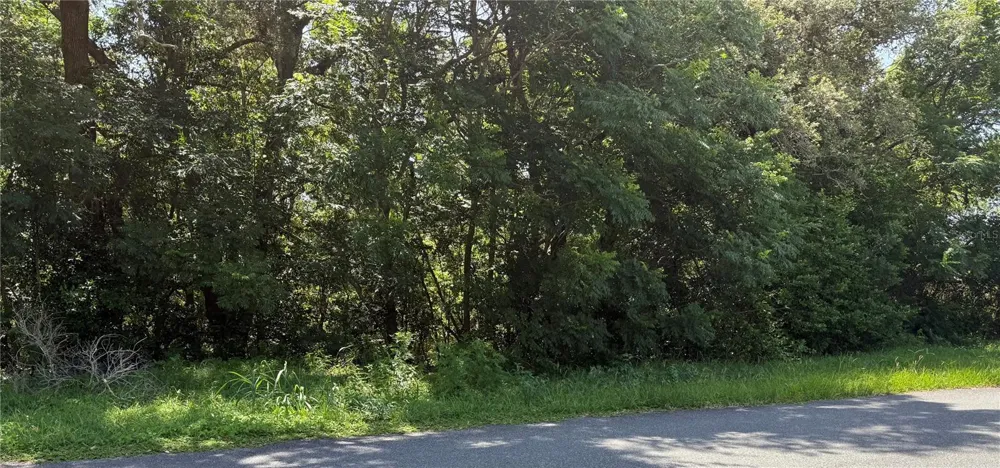 HUTCHINSON WAY Lady Lake, FL 32159
