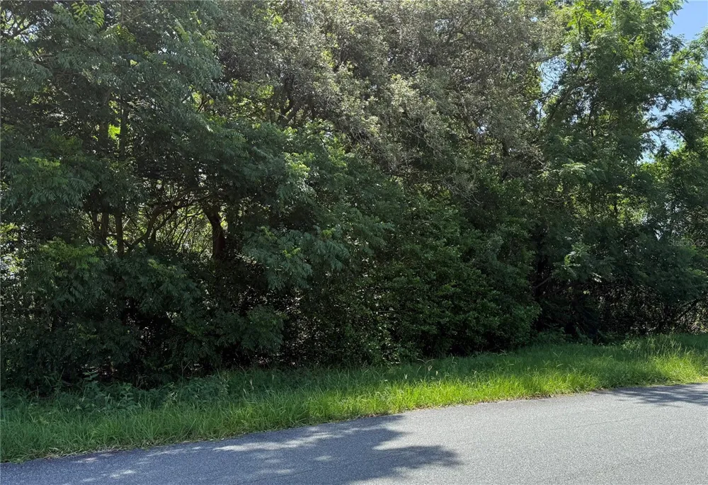 HUTCHINSON WAY Lady Lake, FL 32159
