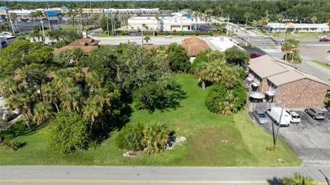 PALMETTO AVENUE