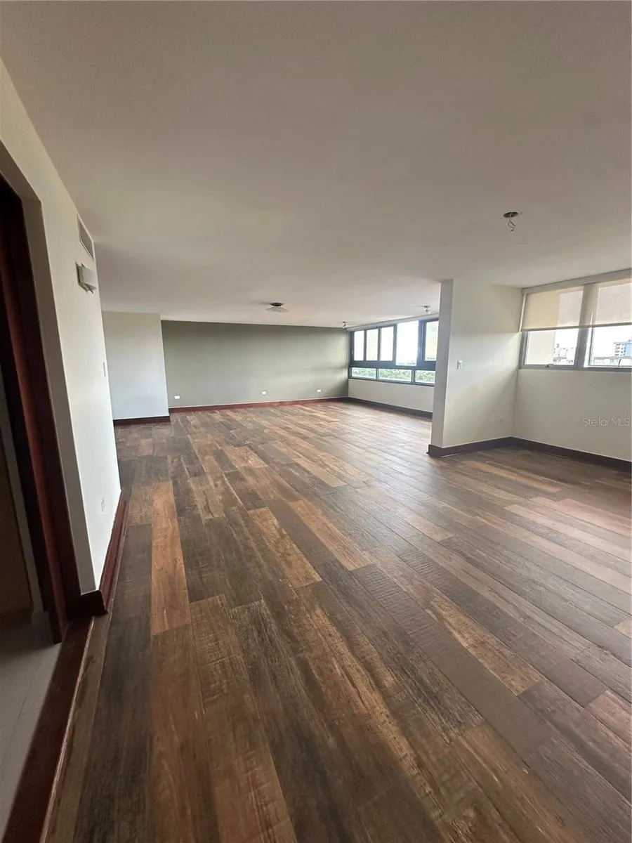 Caoba Street AVENIDA SAN PATRICIO #PH1-PH2 Guaynabo, PR 00966