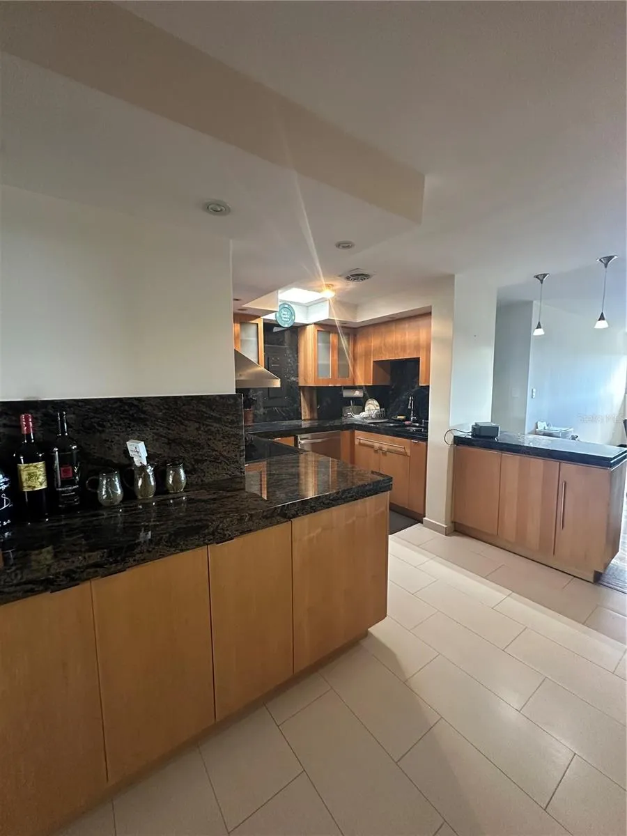 Caoba Street AVENIDA SAN PATRICIO #PH1-PH2 Guaynabo, PR 00966