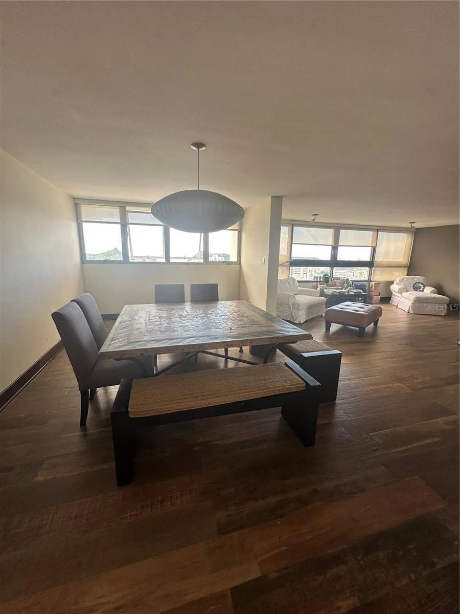 Caoba Street AVENIDA SAN PATRICIO #PH1-PH2 Guaynabo, PR 00966