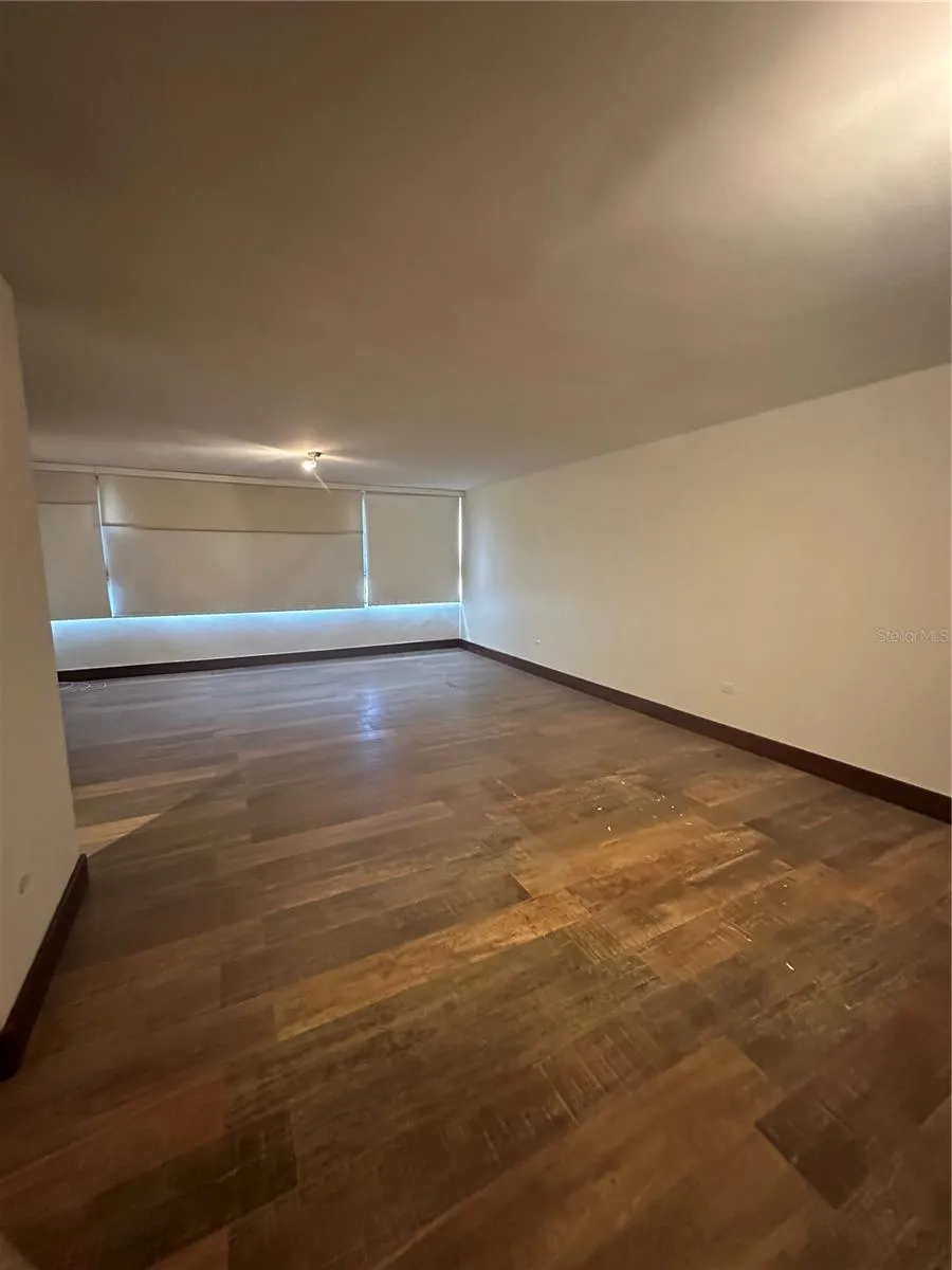 Caoba Street AVENIDA SAN PATRICIO #PH1-PH2 Guaynabo, PR 00966