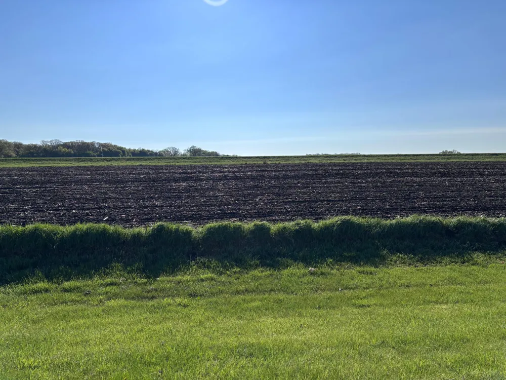 TBD Grandview Rd Elbow Lake, MN 56531