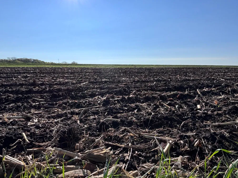 TBD Grandview Rd Elbow Lake, MN 56531