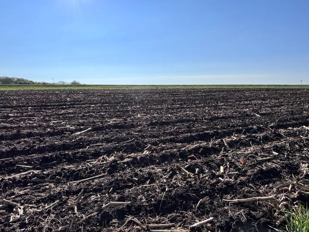 TBD Grandview Rd Elbow Lake, MN 56531
