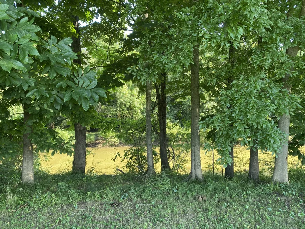 0 Martins Landing Bath Springs, TN 38311