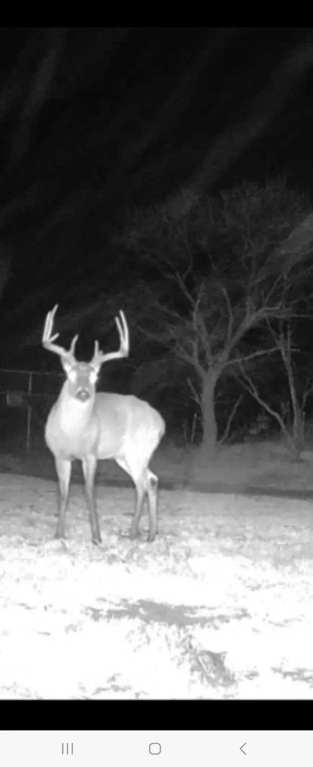 CR 148 Rule, TX 79547