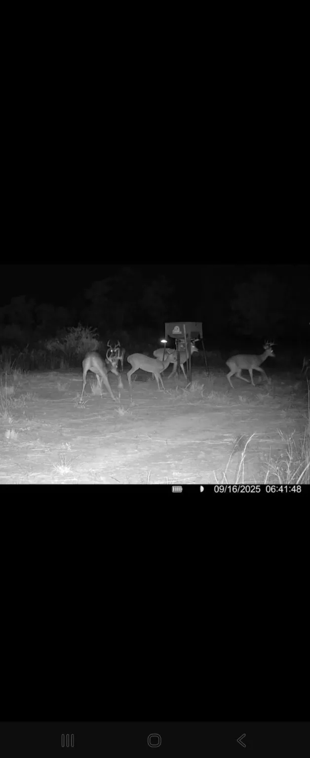 CR 148 Rule, TX 79547