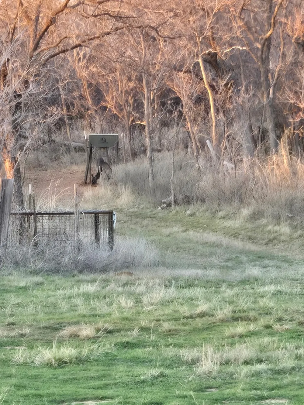 CR 148 Rule, TX 79547