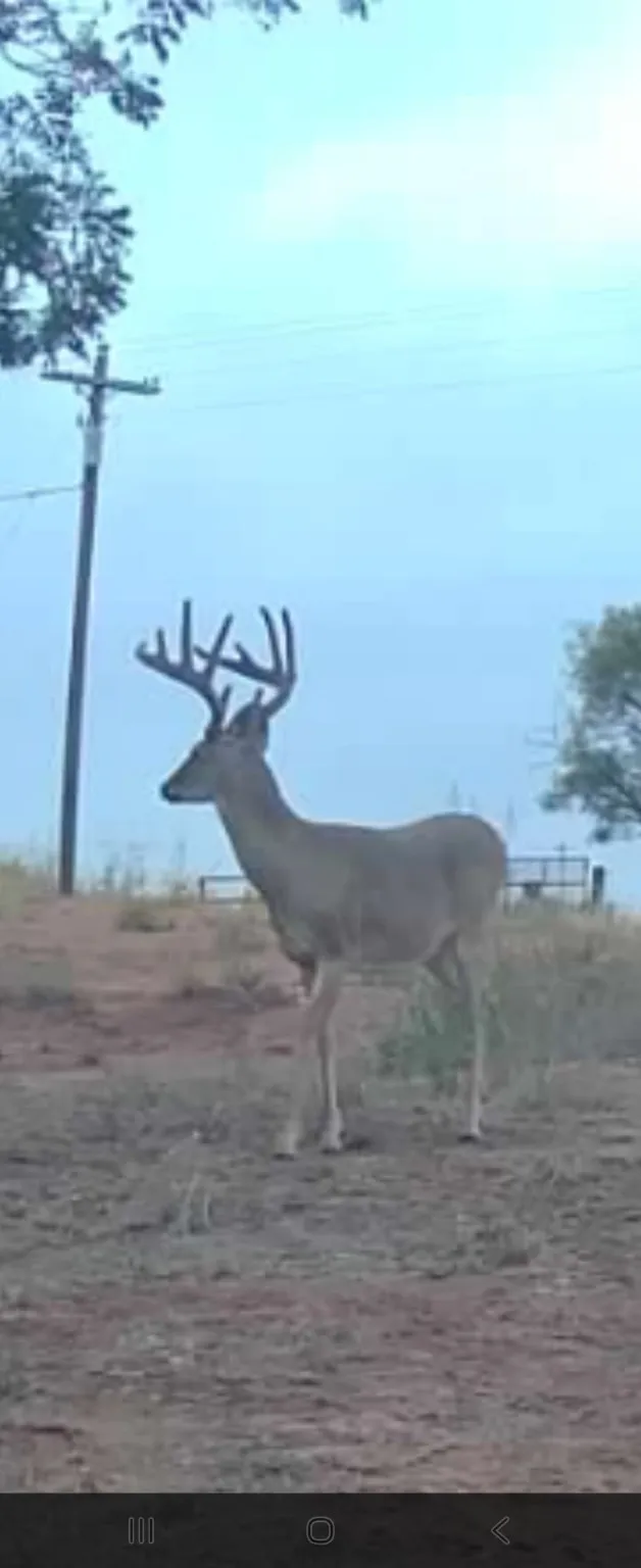 CR 148 Rule, TX 79547