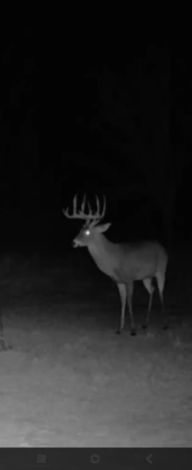CR 148 Rule, TX 79547