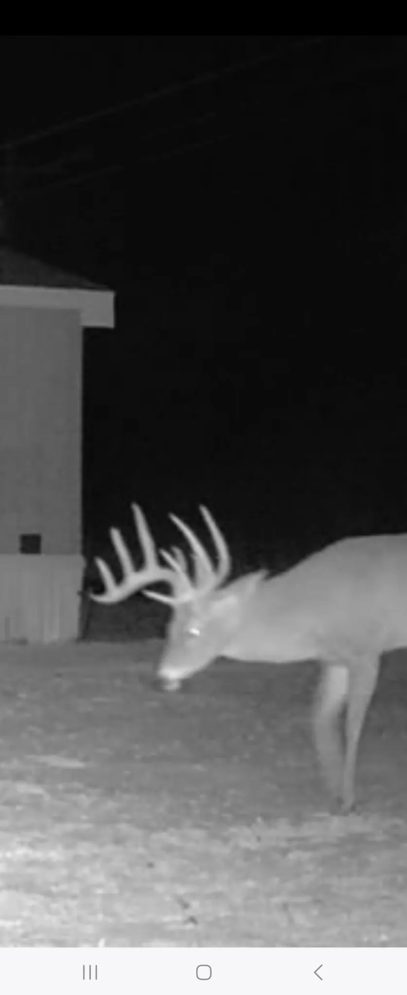 CR 148 Rule, TX 79547