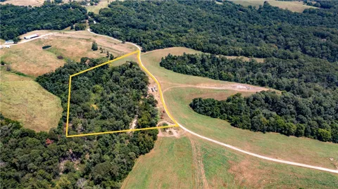 Neon Sky Lot 1 Drive #Lot 1