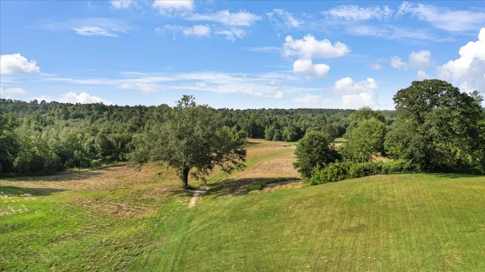 S Live Oak Gilmer, TX 75644