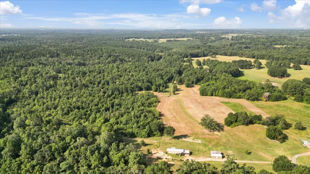 S Live Oak Gilmer, TX 75644