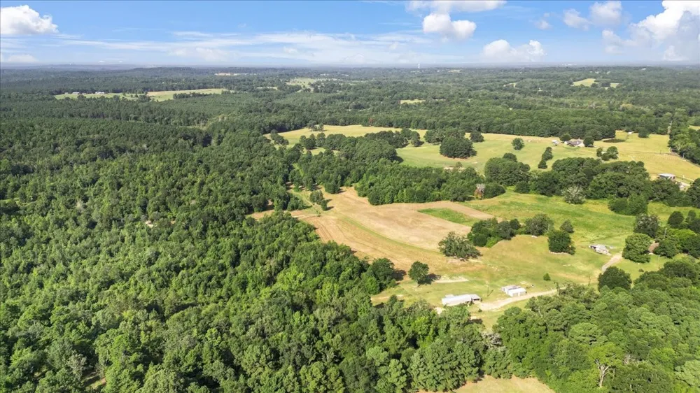 S Live Oak Gilmer, TX 75644
