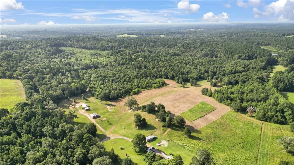 S Live Oak Gilmer, TX 75644
