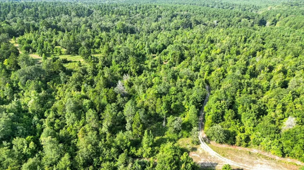 S Live Oak Gilmer, TX 75644