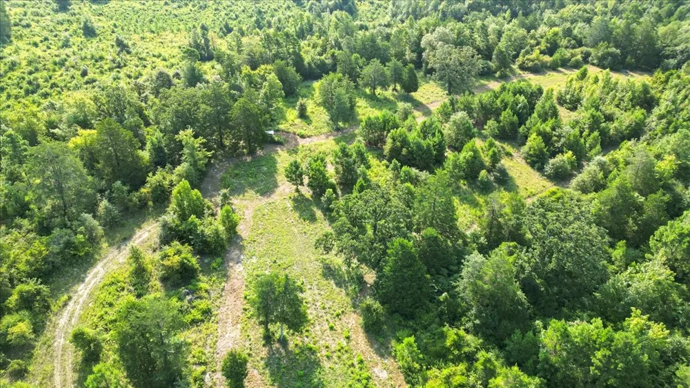 S Live Oak Gilmer, TX 75644