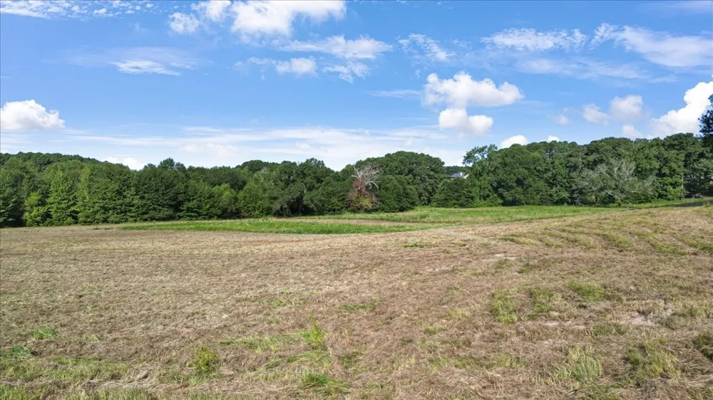 S Live Oak Gilmer, TX 75644