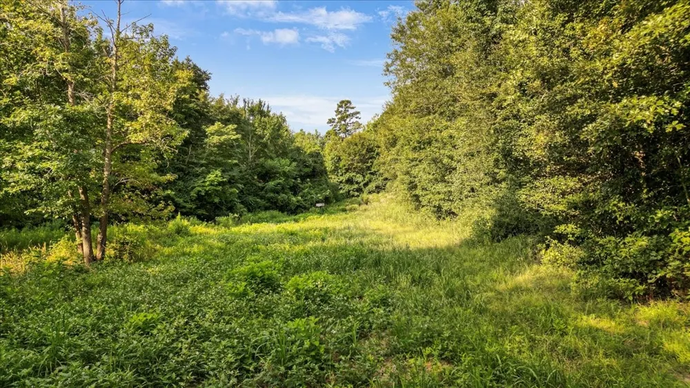 S Live Oak Gilmer, TX 75644