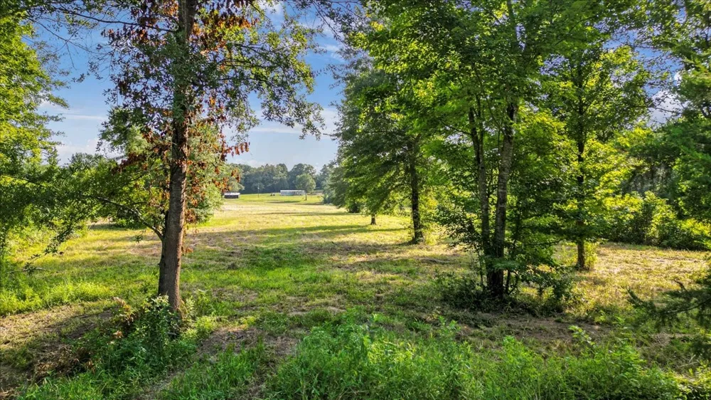 S Live Oak Gilmer, TX 75644