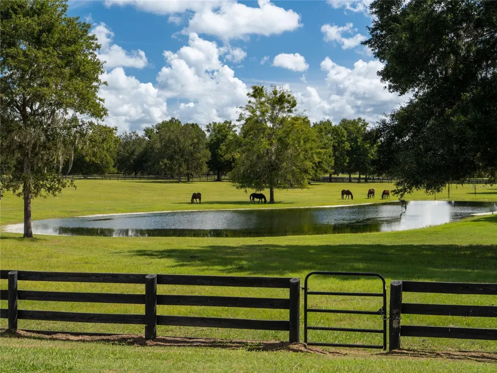 2875 NW 150TH AVENUE ocala, FL 34482